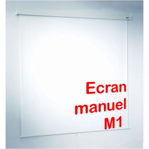 Ecran de projection manuel