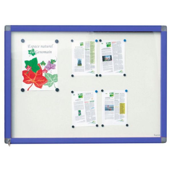 Vitrine exterieure cadre bleu vitrage plexi