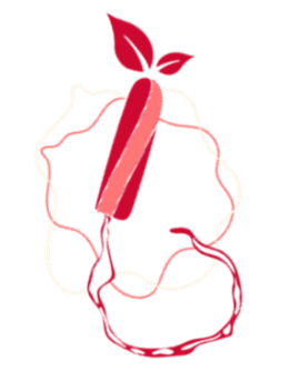 Tampons hygieniques digitaux BIO