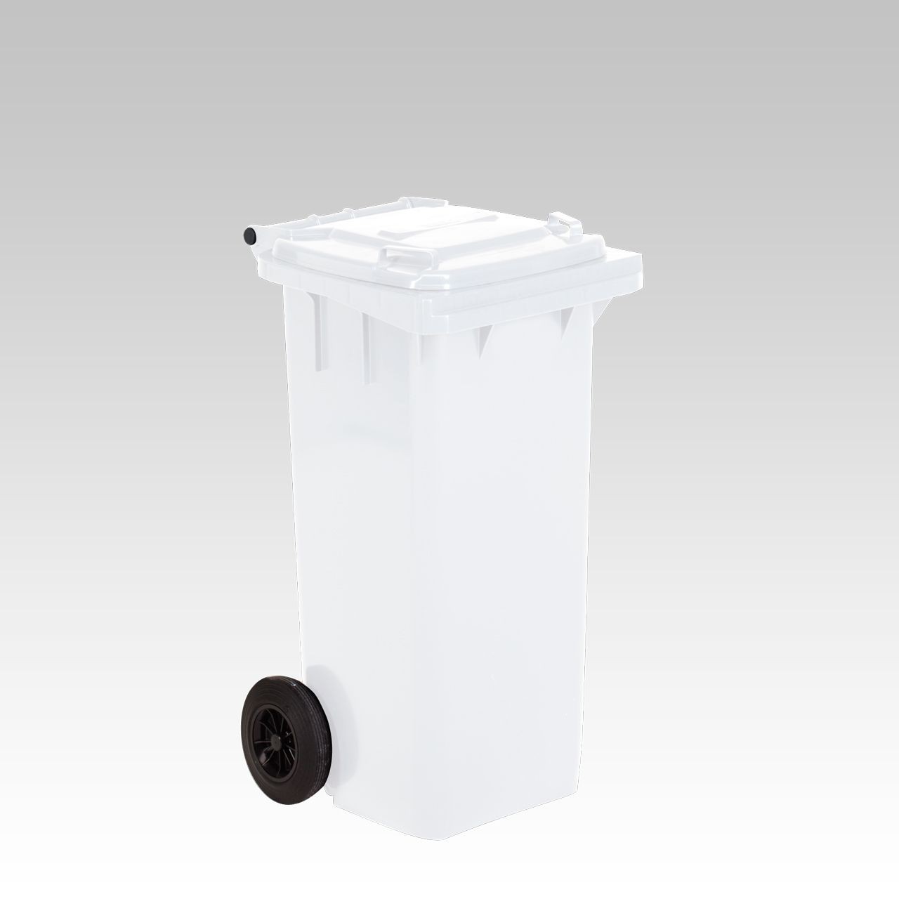 Conteneur poubelle 2 roues – 120L