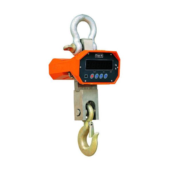 Crochet Peseur - Stable & Pr?cis - Charge jusqu'? 5000kg